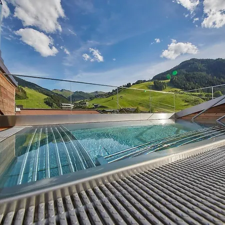 Hasenauer 4 Sterne Superior 酒店 萨尔巴赫