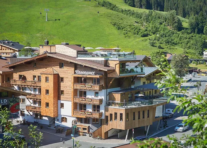 Hasenauer 4 Sterne Superior ホテル 4*